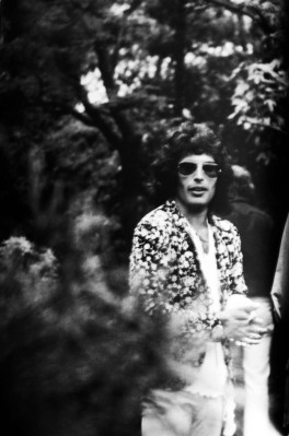 Freddie Mercury pic #698540