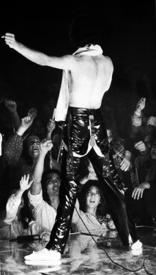 Freddie Mercury pic #698538