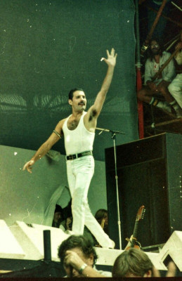 Freddie Mercury pic #710535
