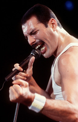 Freddie Mercury pic #682687