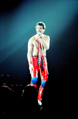 Freddie Mercury pic #688508