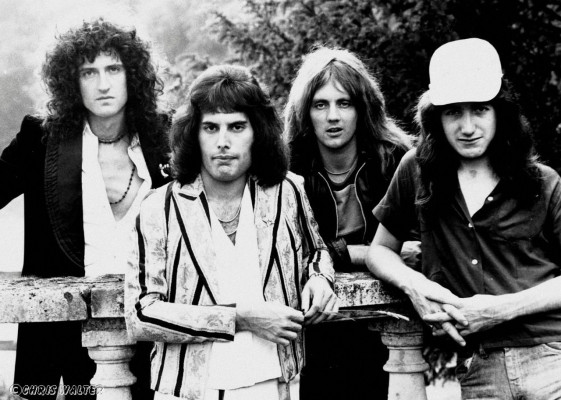 Freddie Mercury pic #690398