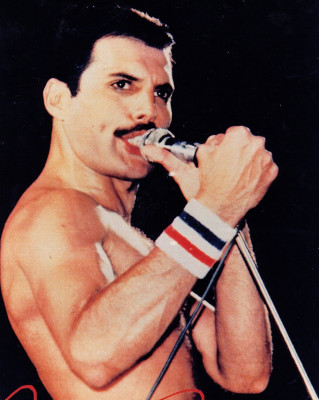 photo 22 in Freddie Mercury gallery [id683247] 2014-03-26 00:00:00