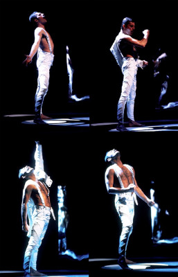 Freddie Mercury pic #699802