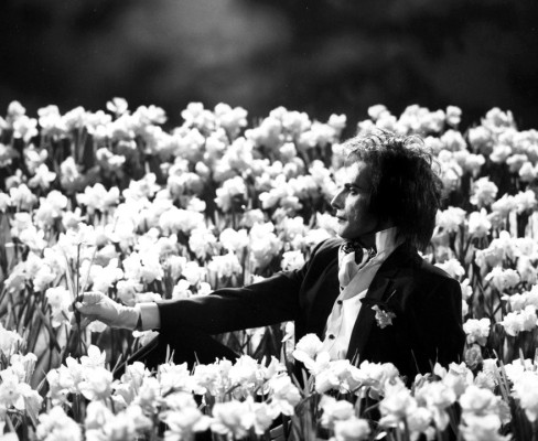 Freddie Mercury pic #699817