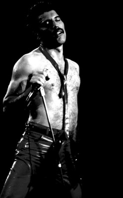 Freddie Mercury pic #687253