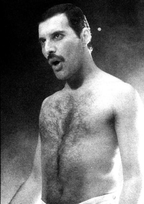 Freddie Mercury pic #688536