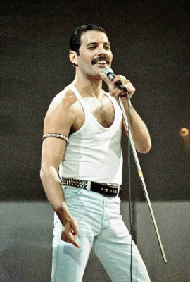 Freddie Mercury pic #715646