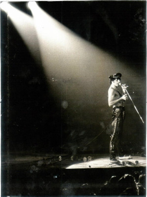 Freddie Mercury pic #690405