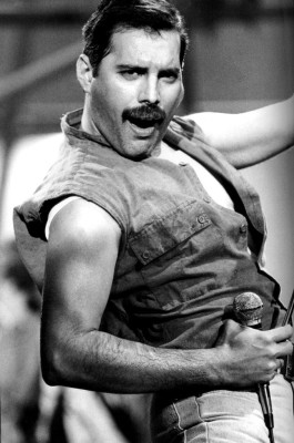 Freddie Mercury pic #698526