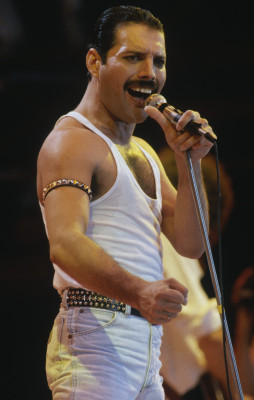 photo 25 in Freddie Mercury gallery [id685125] 2014-04-02 00:00:00