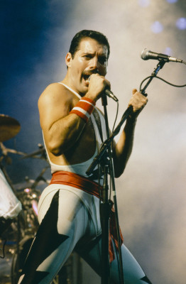 Freddie Mercury pic #685086