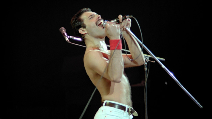 Freddie Mercury pic #670614