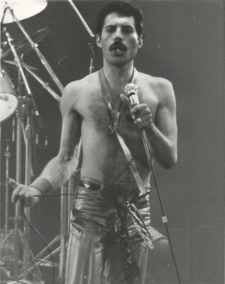 Freddie Mercury pic #685711