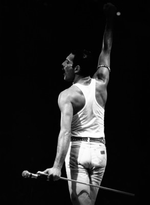 Freddie Mercury pic #685755