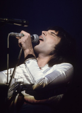 Freddie Mercury pic #685160