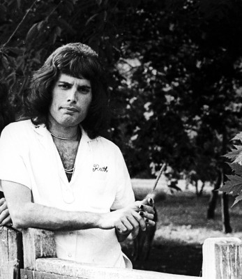 Freddie Mercury pic #687965