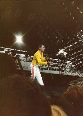 Freddie Mercury pic #688525