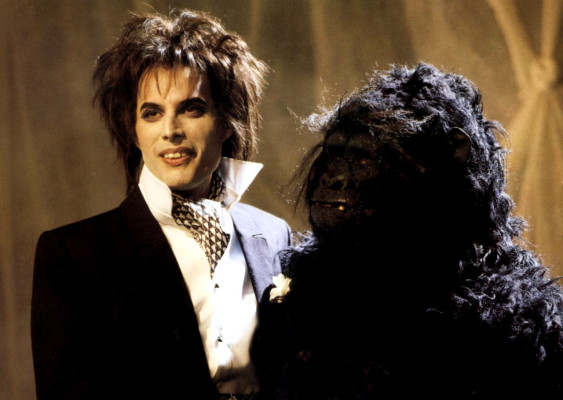 Freddie Mercury pic #699808