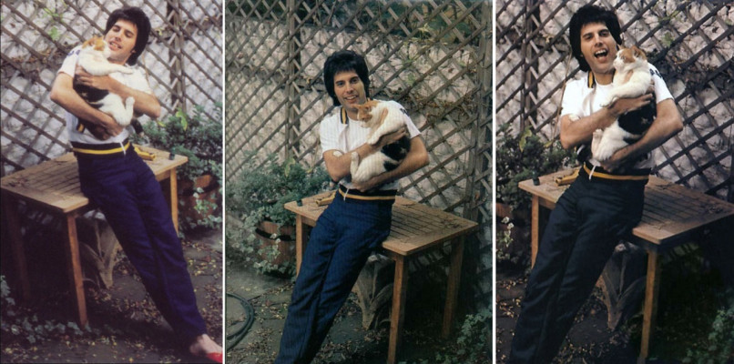 photo 29 in Freddie Mercury gallery [id685782] 2014-04-02 00:00:00