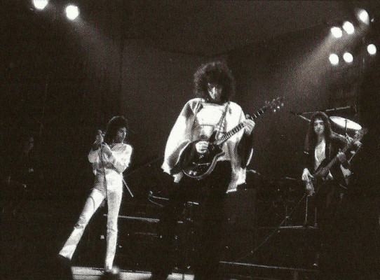 Freddie Mercury pic #694737