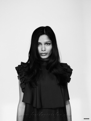 Freida Pinto pic #193587
