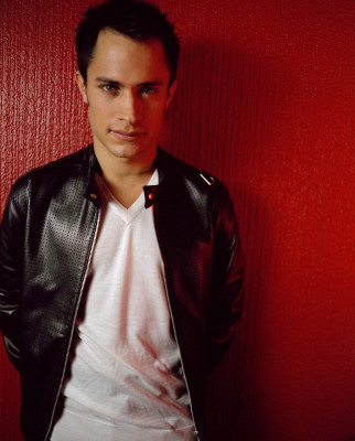 Gael Garcia Bernal pic #66269