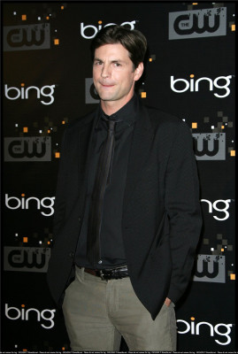 Gale Harold pic #638631