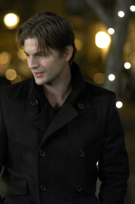 Gale Harold pic #639426