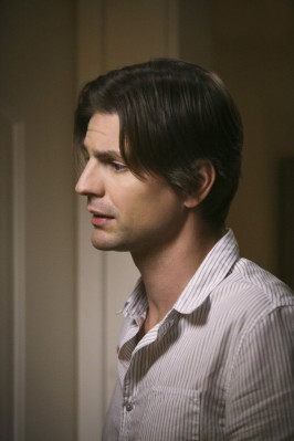Gale Harold pic #636462