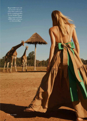 Gemma Ward pic #1095607