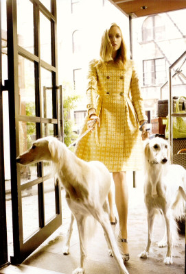 Gemma Ward pic #43573