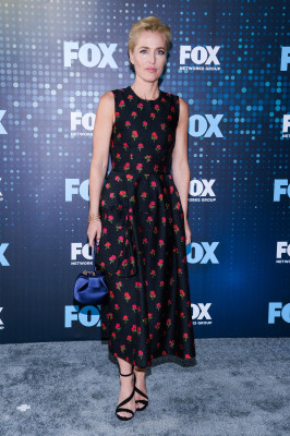 Gillian Anderson pic #938149
