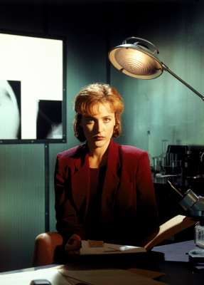 photo 5 in Gillian Anderson gallery [id362188] 2011-03-29 00:00:00