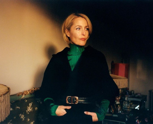 Gillian Anderson pic #1199226