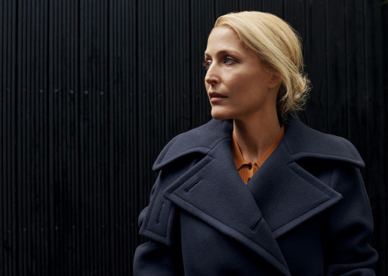 Gillian Anderson pic #1249283