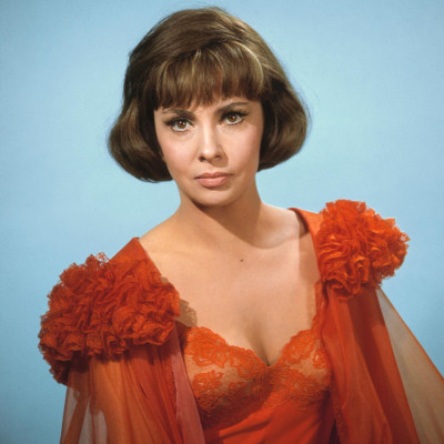 Gina Lollobrigida pic #344392