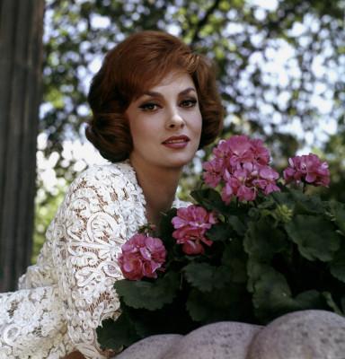 photo 13 in Gina Lollobrigida gallery [id190542] 2009-10-15 00:00:00