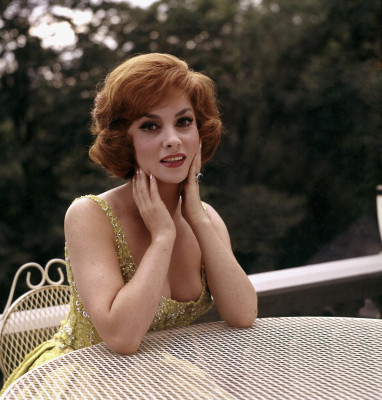 Gina Lollobrigida pic #192695