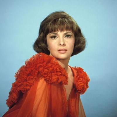 photo 11 in Gina Lollobrigida gallery [id192575] 2009-11-03 00:00:00