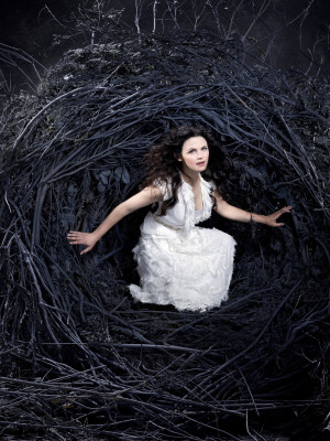Ginnifer Goodwin pic #403489