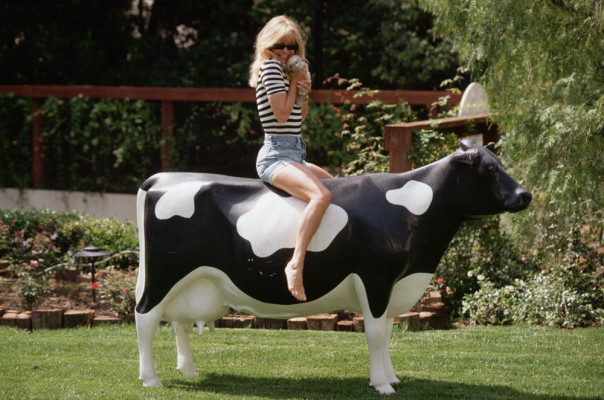 Goldie Hawn pic #72035
