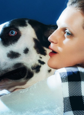 Guinevere van Seenus pic #884836