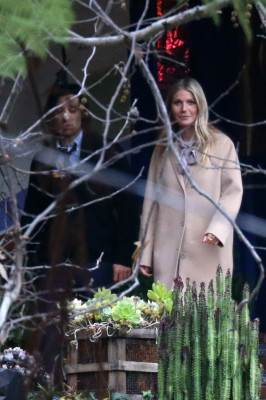 Gwyneth Paltrow pic #935318