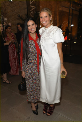 Gwyneth Paltrow pic #1073654