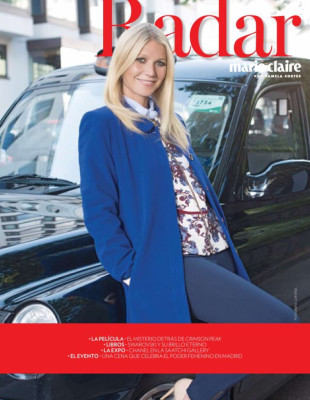 Gwyneth Paltrow pic #881788