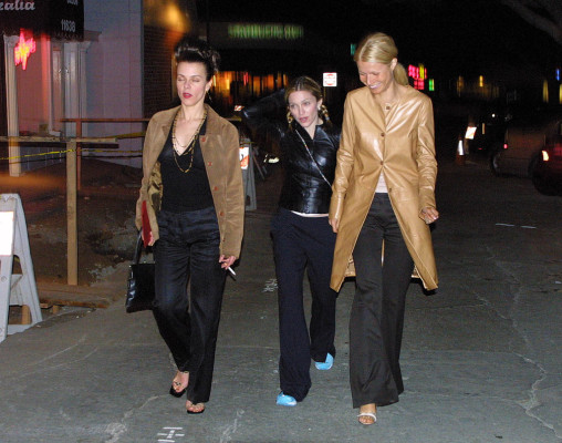 Gwyneth Paltrow pic #895768