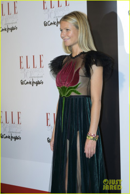 Gwyneth Paltrow pic #891607