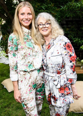 Gwyneth Paltrow pic #952399