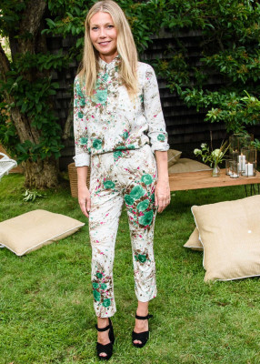 Gwyneth Paltrow pic #952395